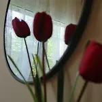 Ligustro Apartamento *