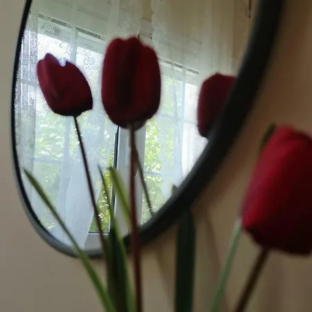 Ligustro Lejlighed *